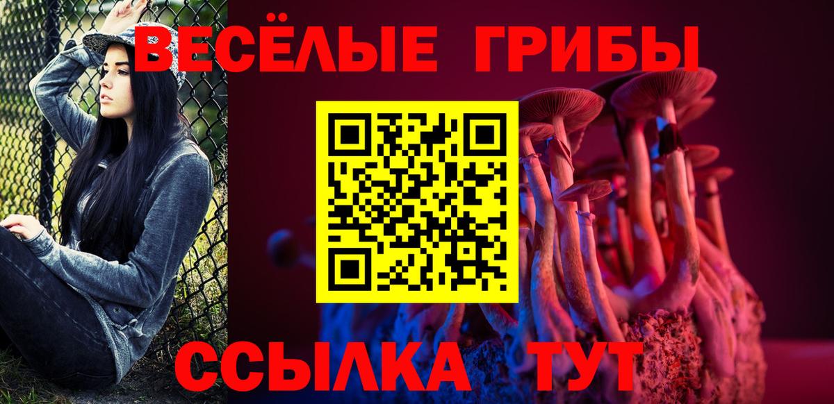 Псилоцибиновые грибы Psilocybe Рузаевка